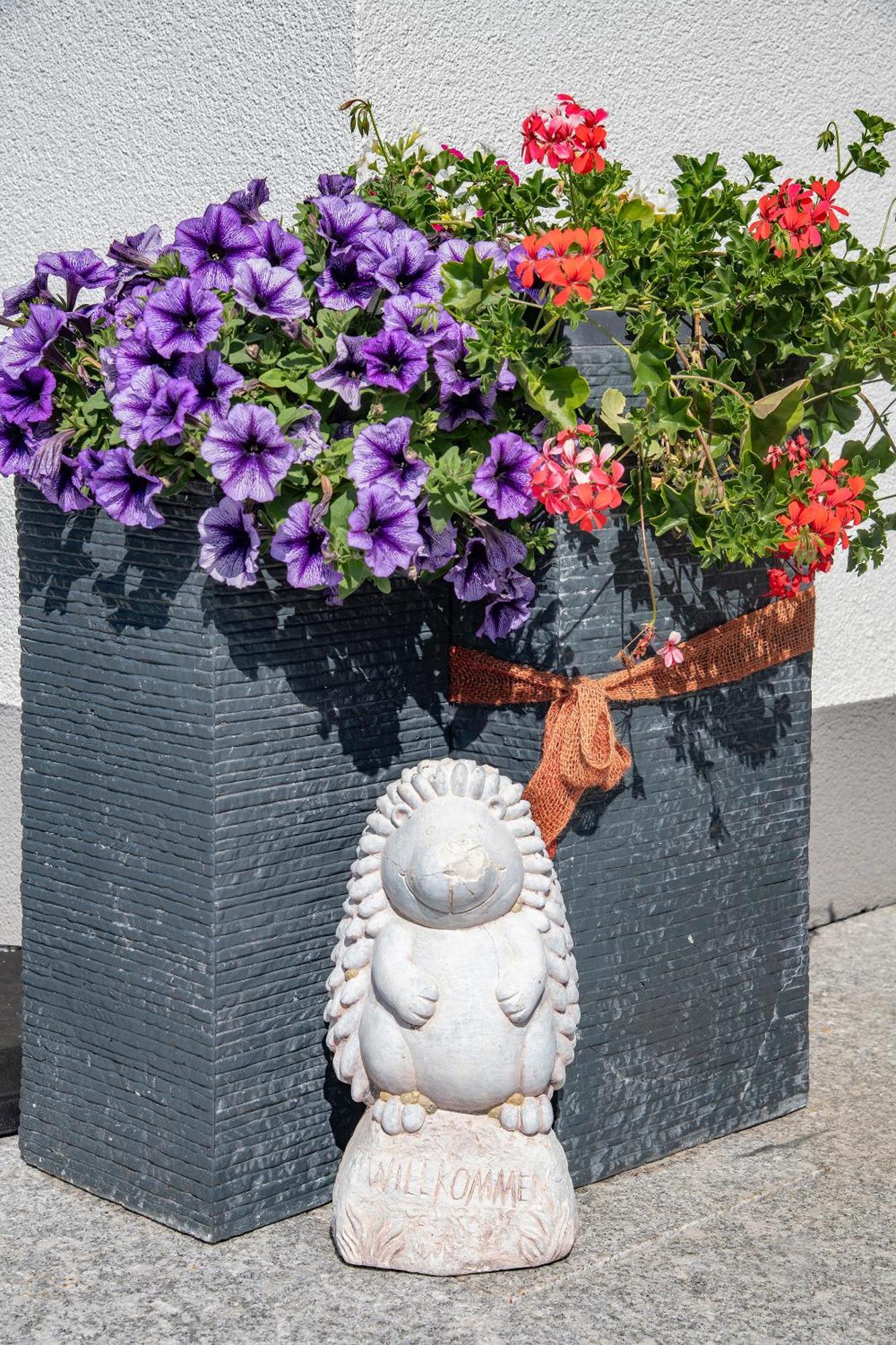 Apartment Am Gant *